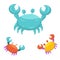Colorful crab sea creature with simple flat illustration