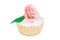 Colorful Cupcake