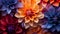 colorful dahlia flowers close up background
