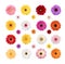 Colorful Daisies Isolated on a White Background