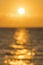 Colorful dawn over the sea, Sunset. Beautiful magic sunset over the sea. blurry. vertical photo