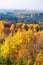 Colorful deciduous trees in a view of the forest