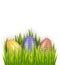 Colorful decorated Easter eggs in fresh green grass isolated on white background. Horizontal holiday banner decorations. Vector il