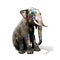 Colorful decorated elephant with large tradition in India sitting down with a isolated white background