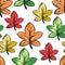 Colorful decorative maple leaves different sizes