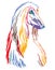 Colorful decorative portrait of Afghan Hound vector illustration