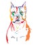 Colorful decorative portrait of American Staffordshire Terrier vector illustration