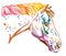 Colorful decorative portrait of Appaloosa horse vector illustration