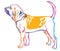 Colorful decorative portrait of Bloodhound Dog vector illustration