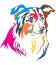 Colorful decorative portrait of Border Collie vector illustration