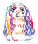 Colorful decorative portrait of Cavalier King Charles Spaniel vector illustration