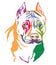 Colorful decorative portrait of Dog American Staffordshire Terri