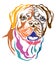 Colorful decorative portrait of Dog Dogue de Bordeaux vector ill