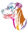 Colorful decorative portrait of Dog German Pinscher vector illustration