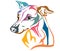 Colorful decorative portrait of Dog Italian Greyhound vector ill