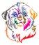 Colorful decorative portrait of Dog Shih Tzu vector illustration