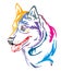 Colorful decorative portrait of Dog Siberian Husky vector illustration