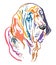 Colorful decorative portrait of Fila Brasileiro Dog vector illustration