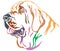 Colorful decorative portrait of Spanish Mastiff vector illustration