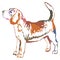 Colorful decorative standing portrait of beagle vector illustration