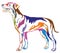 Colorful decorative standing portrait of dog German Pinscher st