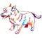 Colorful decorative standing portrait of dog Norwich terrier