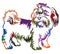 Colorful decorative standing portrait of dog shih-tzu, vector