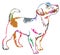 Colorful decorative standing portrait of Jack Russell Terrier