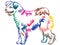 Colorful decorative standing portrait of Pumi dog vector illustration