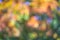 Colorful defocused background of nature leaves pattern