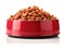 Colorful Delight: Isolated Red Bowl Filled with Dry Cat Food on White Background