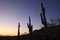 Colorful desert sunset