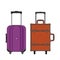 Colorful different types of luggage. Flat design. Vector.