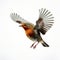 Colorful Digital Art Of A Robin In Flight