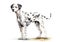 A colorful, digital watercolour painting, showing the portrait of a dalmatian dog.