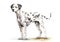 A colorful, digital watercolour painting, showing the portrait of a dalmatian dog