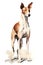 A colorful, digital watercolour painting, showing the portrait of a ibizan hound.