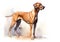 A colorful, digital watercolour painting, showing the portrait of a rhodesian ridgeback.