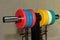 Colorful Disks for Barbell in Gym: Weight Fitness Equipment