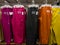 Colorful display of Gap brand sweatpants for women