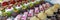 Colorful display of pastries topped with fruits in a French patisserie