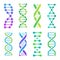 Colorful DNA icons. Spiral molecule structure for scientific research. Human genetic code with information