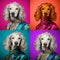 Colorful Dog Portraits In Baroque Drama Style