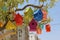 Colorful dovecotes on a tree