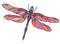 Colorful dragonfly illustration with boho pattern.
