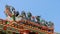 Colorful dragons on a Chinese shrine roof