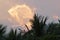 Colorful dramatic sky on twilight time against coconut palm trees on foreground.