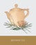 Colorful drawing of teapot, transparent cup with steeping rooibos tea, fresh leaves on gray background. Tasty aromatic