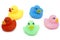 Colorful ducks swimming in chaos-White background