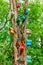 Colorful dyed wooden nestling boxes on tree trunk in summer park. Outdoor creative art decoration and care for birds